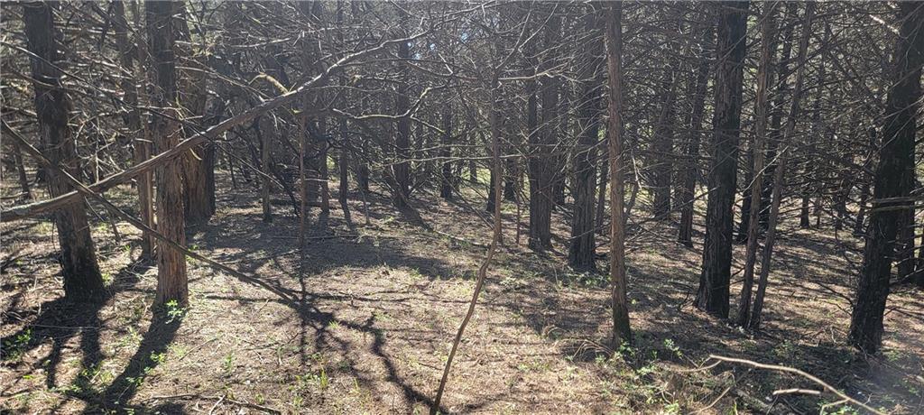 3528 West Virginia Road Kincaid, KS 66039 - Photo 18 of 65