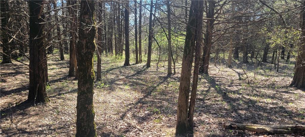 3528 West Virginia Road Kincaid, KS 66039 - Photo 19 of 65