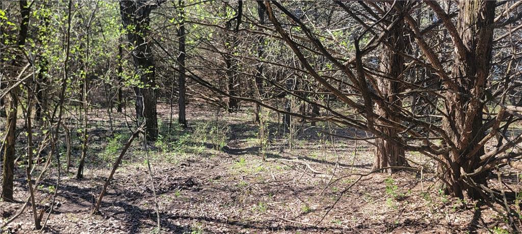 3528 West Virginia Road Kincaid, KS 66039 - Photo 20 of 65