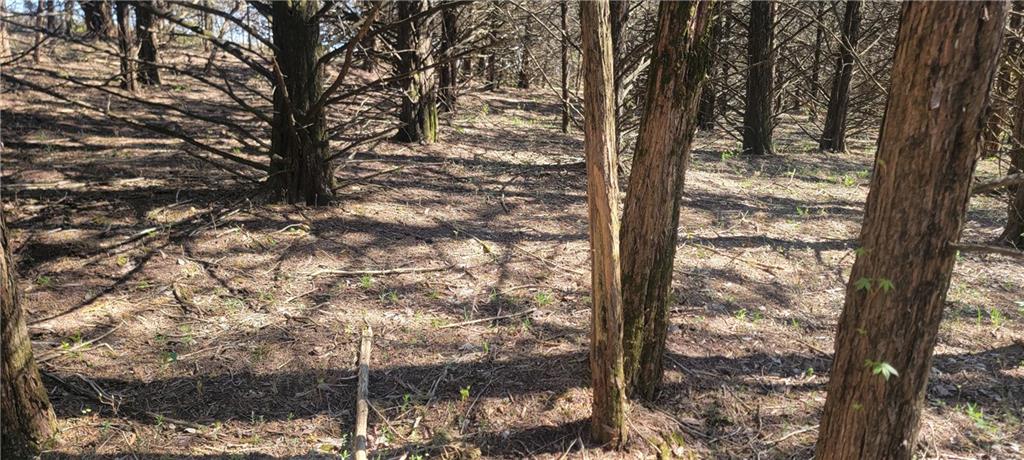 3528 West Virginia Road Kincaid, KS 66039 - Photo 21 of 65