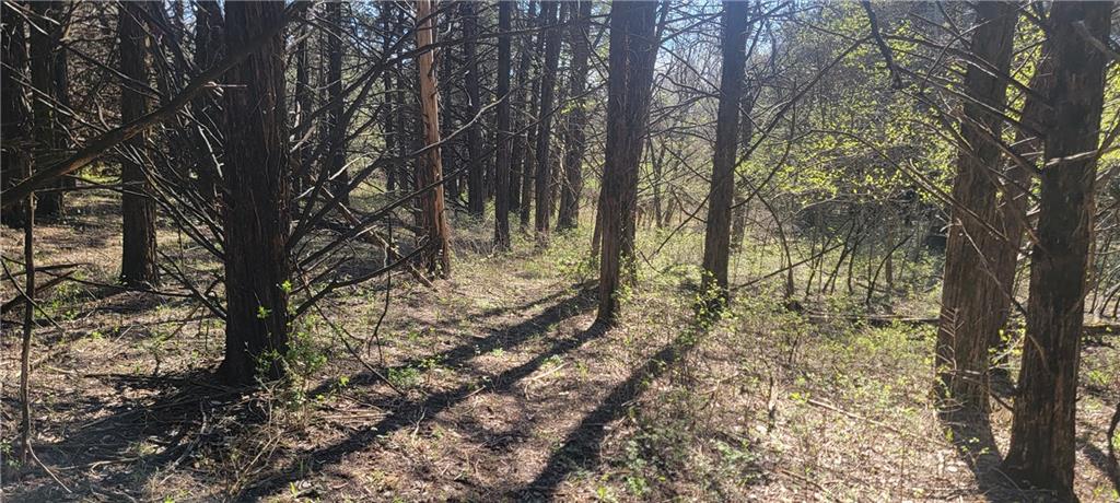 3528 West Virginia Road Kincaid, KS 66039 - Photo 22 of 65