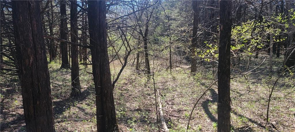 3528 West Virginia Road Kincaid, KS 66039 - Photo 23 of 65