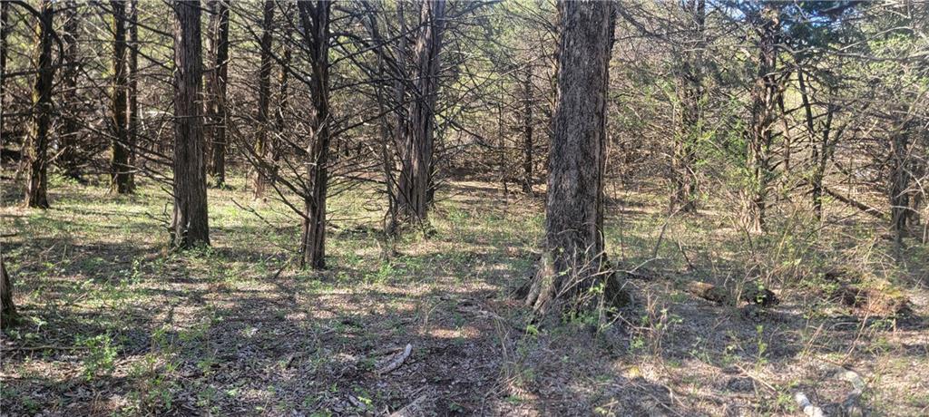 3528 West Virginia Road Kincaid, KS 66039 - Photo 24 of 65