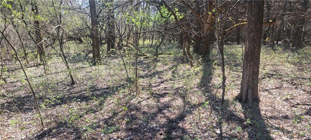 3528 West Virginia Road Kincaid, KS 66039 - Photo 25 of 65