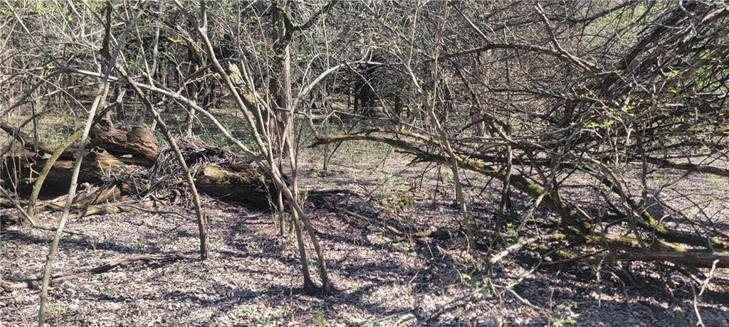 3528 West Virginia Road Kincaid, KS 66039 - Photo 26 of 65