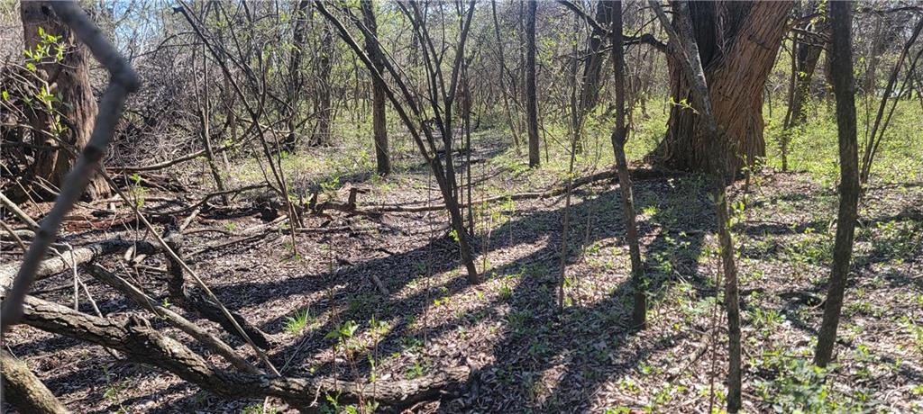 3528 West Virginia Road Kincaid, KS 66039 - Photo 27 of 65