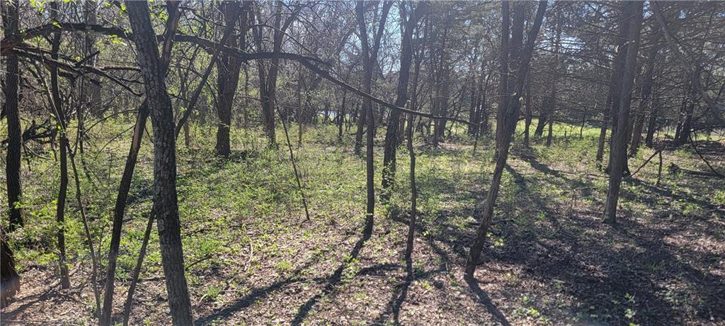 3528 West Virginia Road Kincaid, KS 66039 - Photo 28 of 65