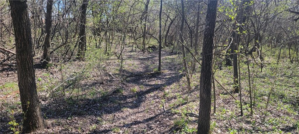 3528 West Virginia Road Kincaid, KS 66039 - Photo 29 of 65