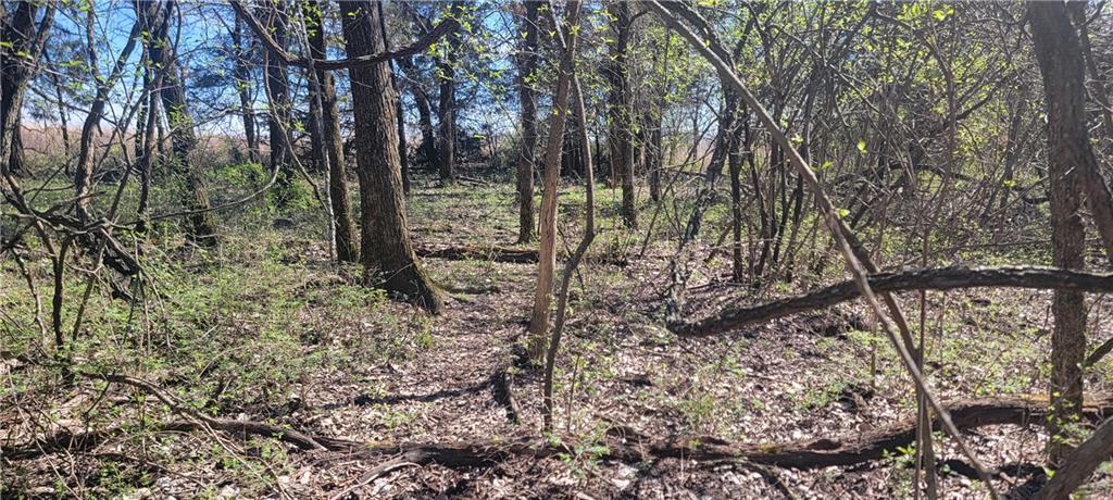 3528 West Virginia Road Kincaid, KS 66039 - Photo 30 of 65