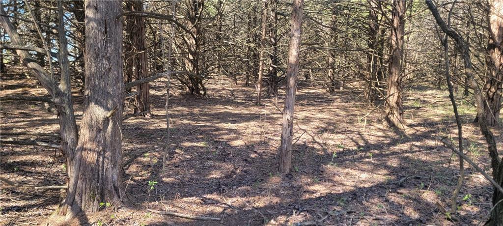 3528 West Virginia Road Kincaid, KS 66039 - Photo 31 of 65