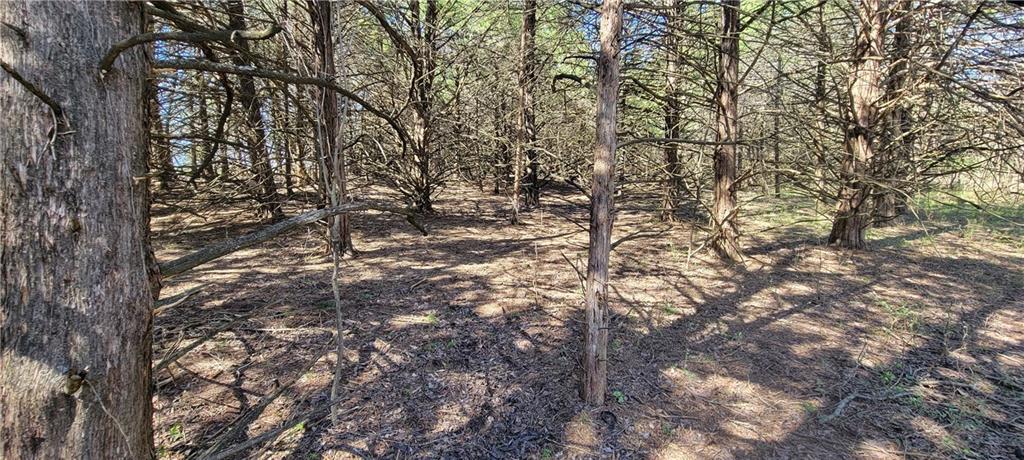 3528 West Virginia Road Kincaid, KS 66039 - Photo 32 of 65