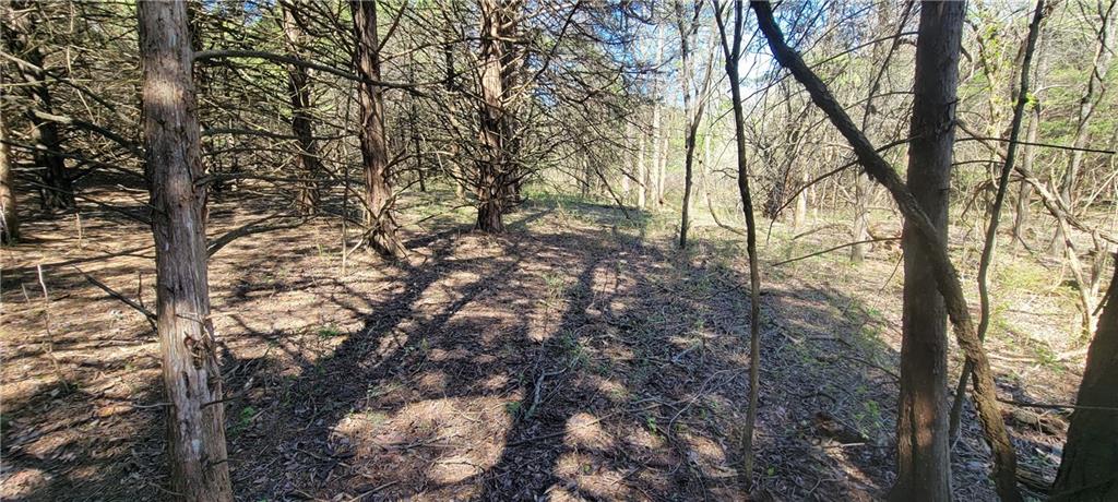 3528 West Virginia Road Kincaid, KS 66039 - Photo 33 of 65