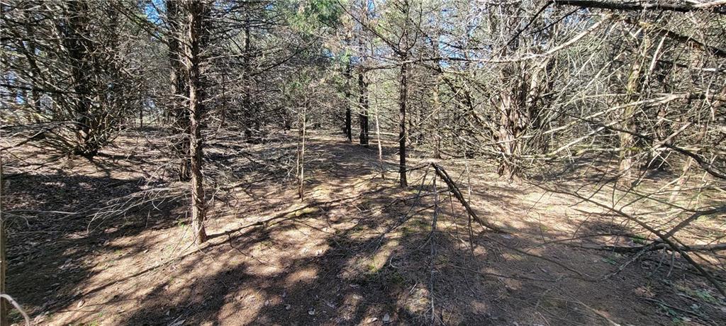 3528 West Virginia Road Kincaid, KS 66039 - Photo 34 of 65