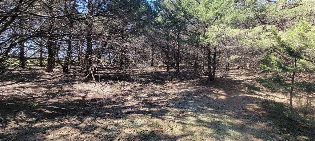 3528 West Virginia Road Kincaid, KS 66039 - Photo 35 of 65