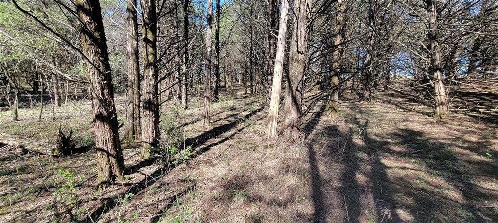 3528 West Virginia Road Kincaid, KS 66039 - Photo 36 of 65