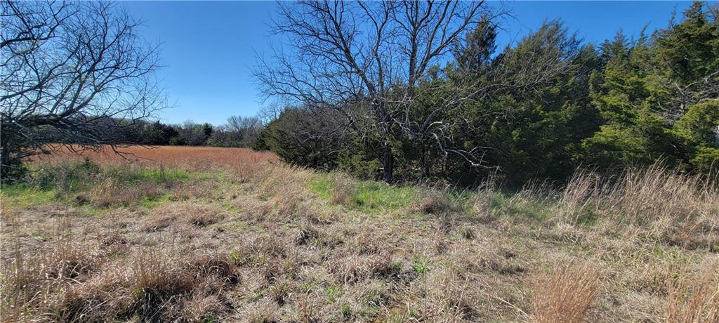 3528 West Virginia Road Kincaid, KS 66039 - Photo 38 of 65