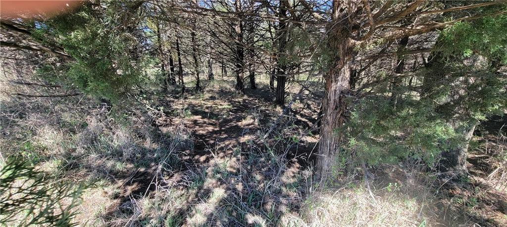 3528 West Virginia Road Kincaid, KS 66039 - Photo 40 of 65