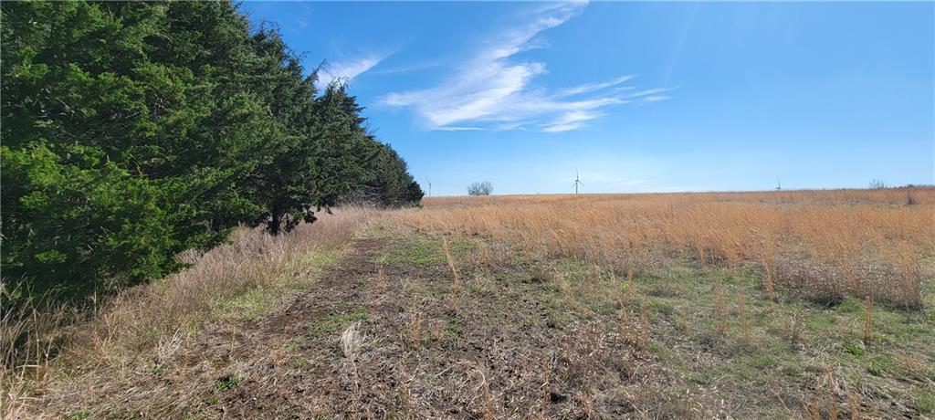 3528 West Virginia Road Kincaid, KS 66039 - Photo 42 of 65