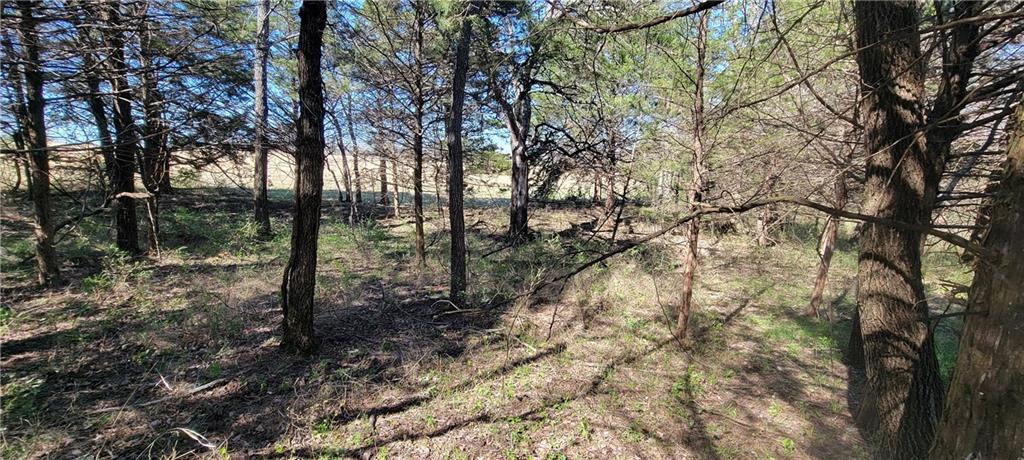 3528 West Virginia Road Kincaid, KS 66039 - Photo 43 of 65