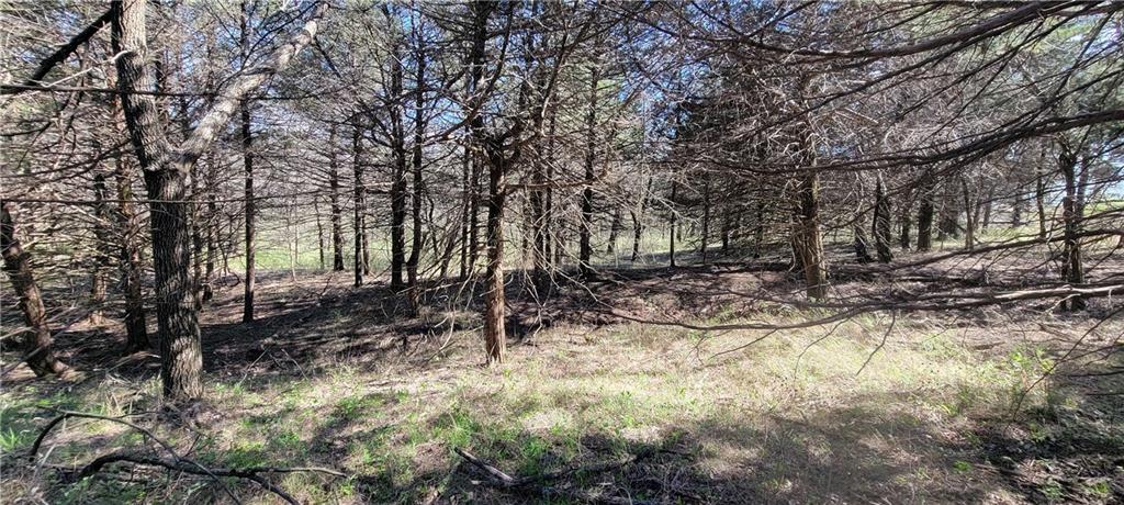 3528 West Virginia Road Kincaid, KS 66039 - Photo 44 of 65