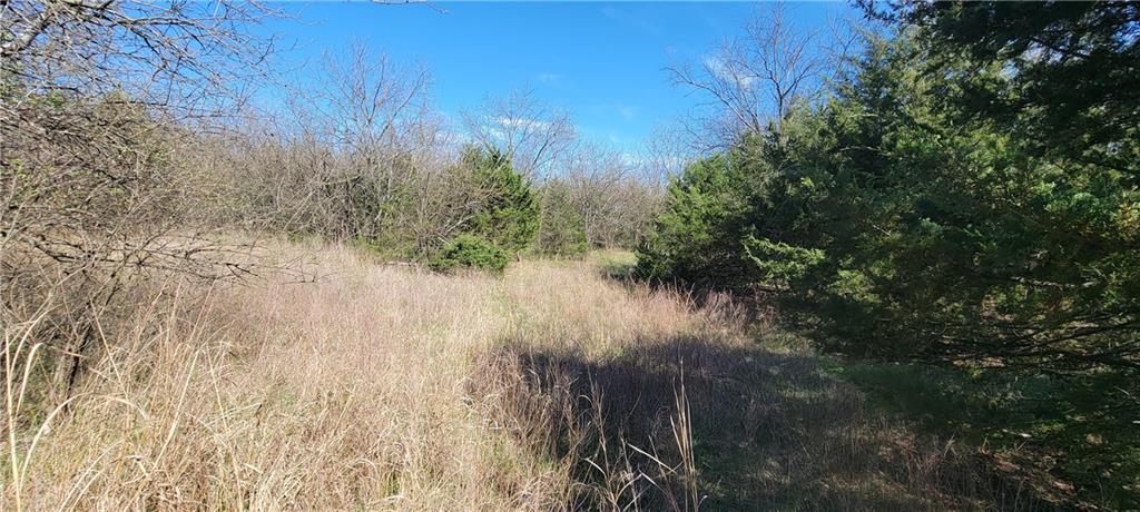 3528 West Virginia Road Kincaid, KS 66039 - Photo 46 of 65