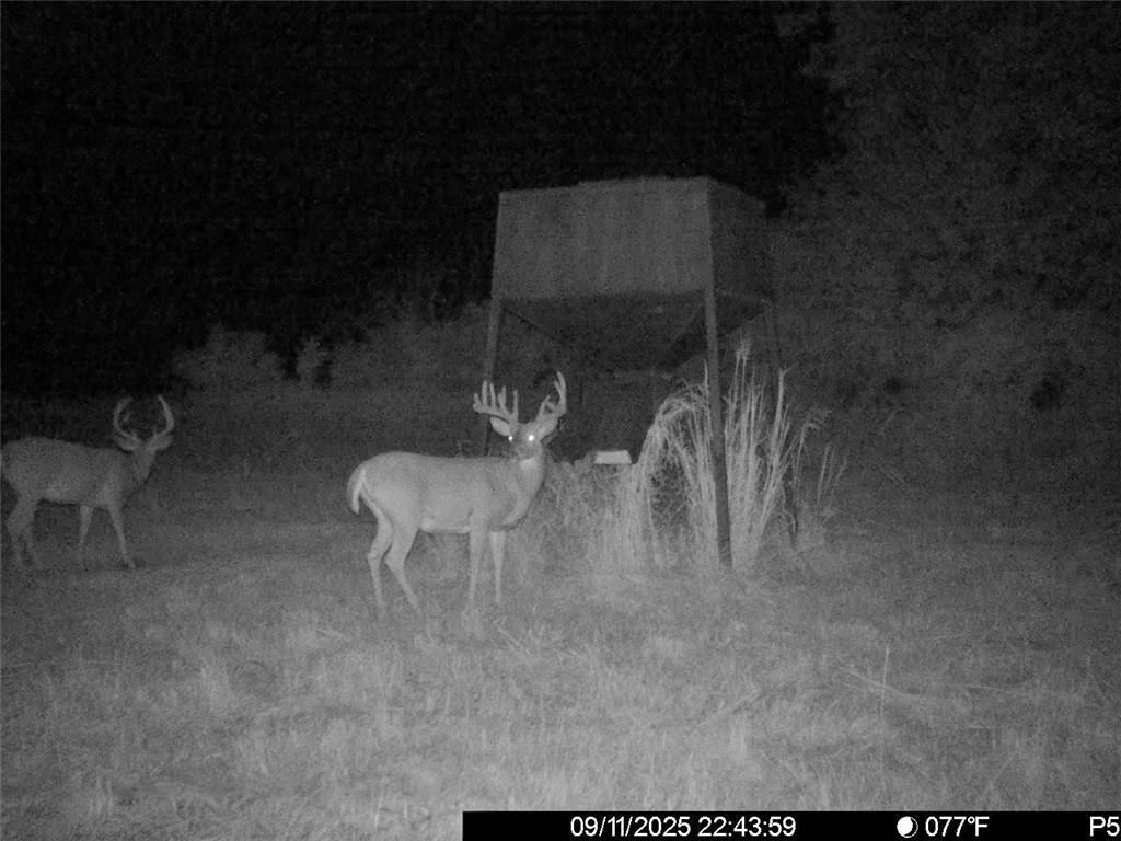 3528 West Virginia Road Kincaid, KS 66039 - Photo 47 of 65