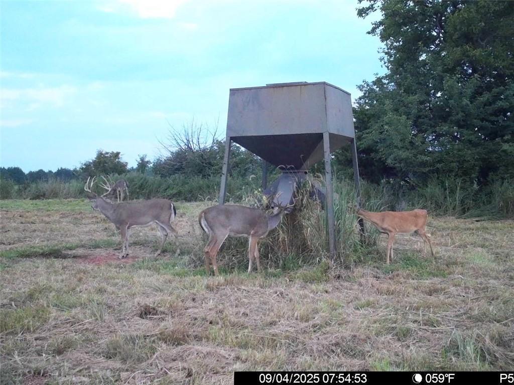 3528 West Virginia Road Kincaid, KS 66039 - Photo 48 of 65