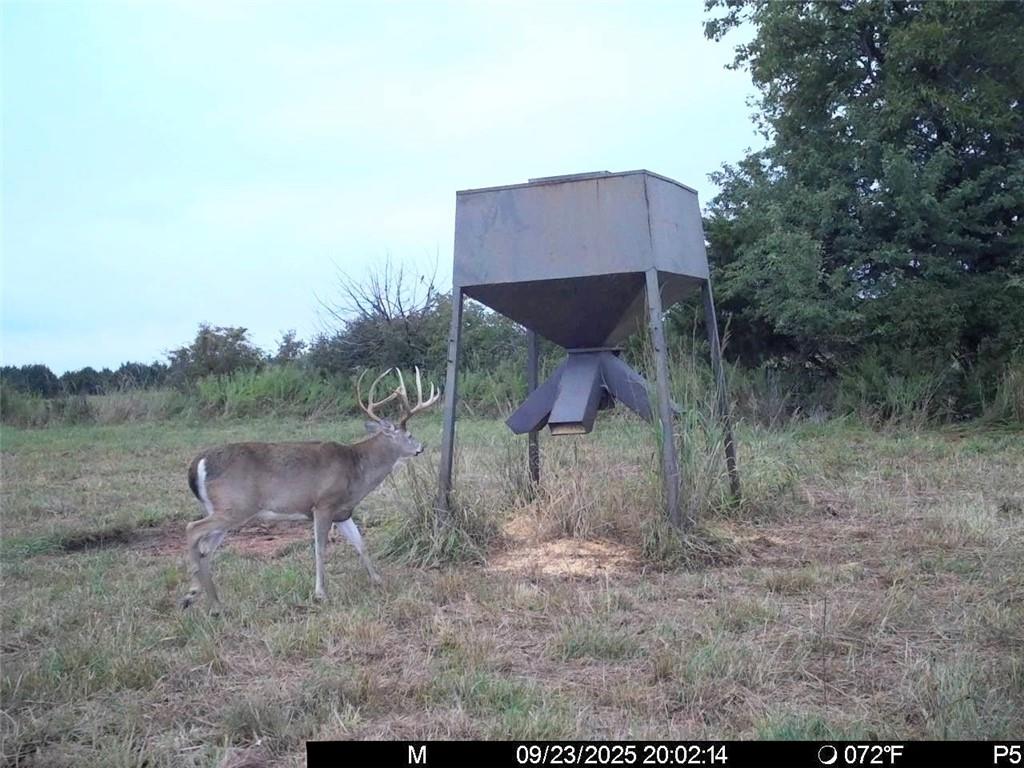 3528 West Virginia Road Kincaid, KS 66039 - Photo 49 of 65