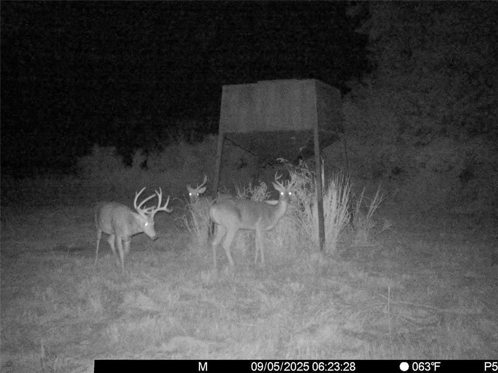 3528 West Virginia Road Kincaid, KS 66039 - Photo 50 of 65