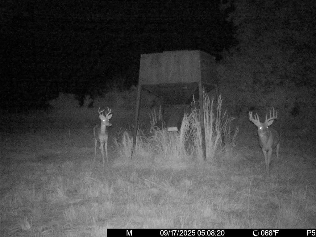 3528 West Virginia Road Kincaid, KS 66039 - Photo 5 of 65