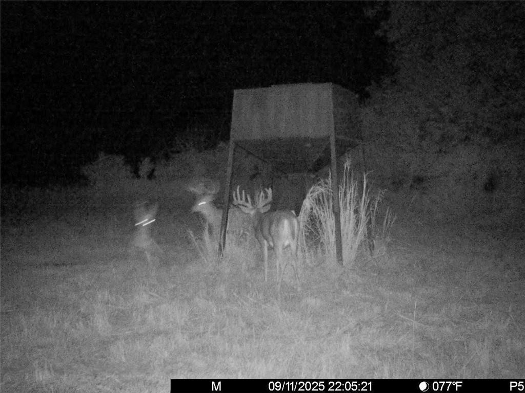 3528 West Virginia Road Kincaid, KS 66039 - Photo 51 of 65