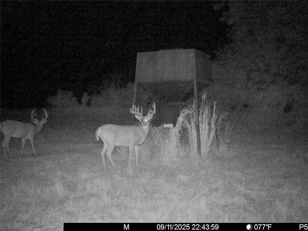 3528 West Virginia Road Kincaid, KS 66039 - Photo 52 of 65