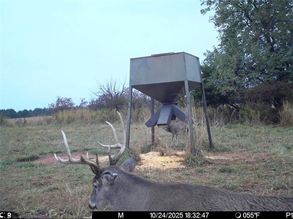 3528 West Virginia Road Kincaid, KS 66039 - Photo 6 of 65