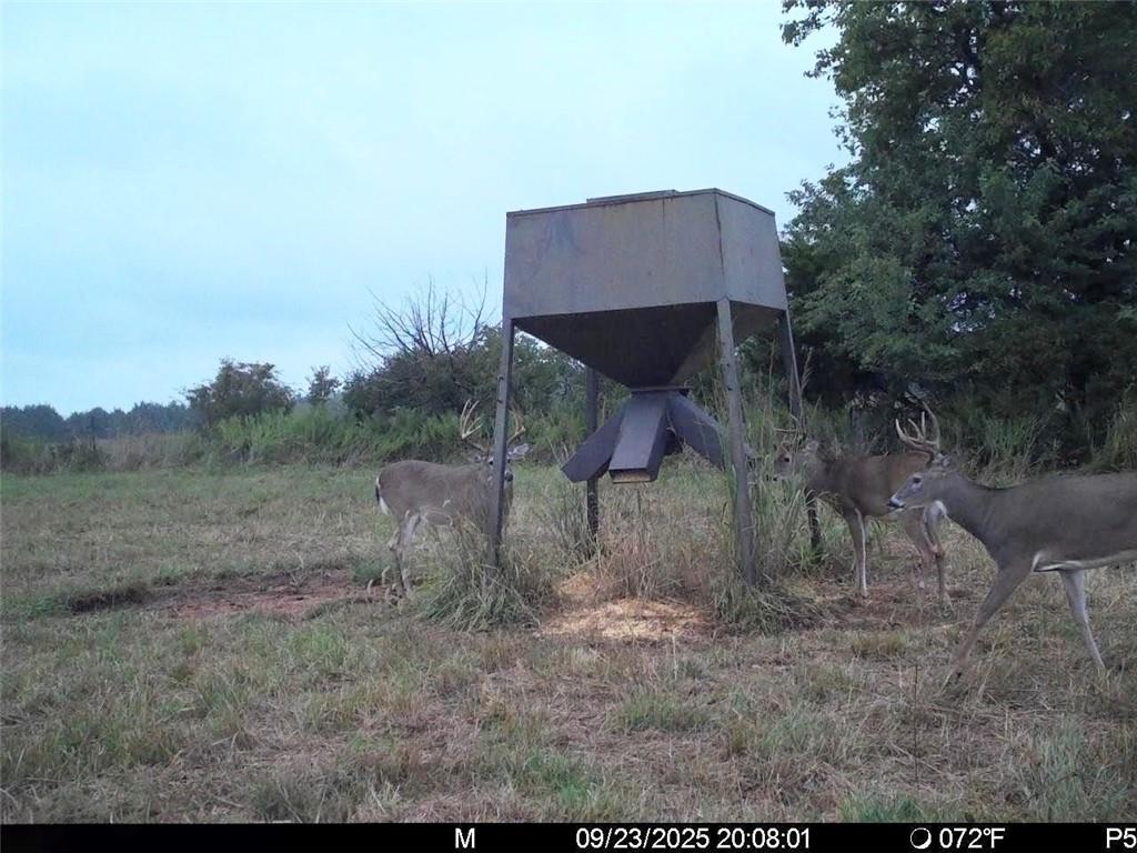 3528 West Virginia Road Kincaid, KS 66039 - Photo 7 of 65