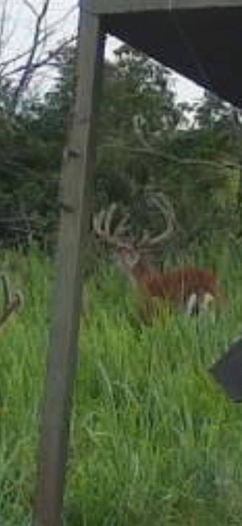 3528 West Virginia Road Kincaid, KS 66039 - Photo 8 of 65