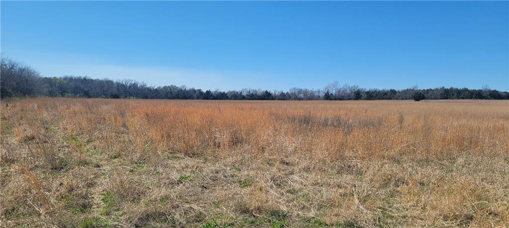 3528 West Virginia Road Kincaid, KS 66039 - Photo 10 of 65