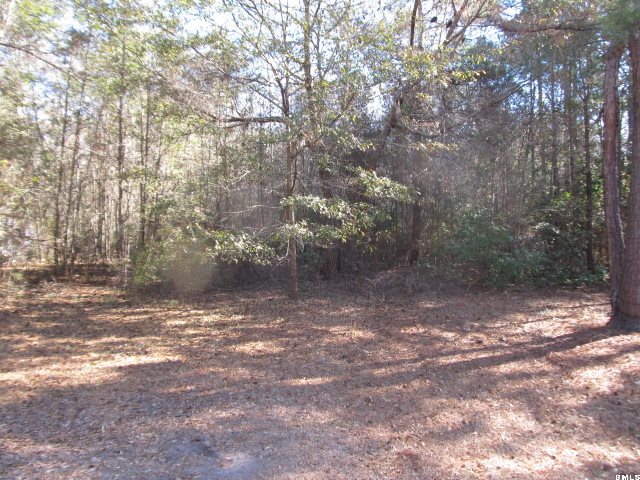 23 State Rd S-7-37 St. Helena Island, SC 29920 - Photo 16 of 16 Additional Photo
