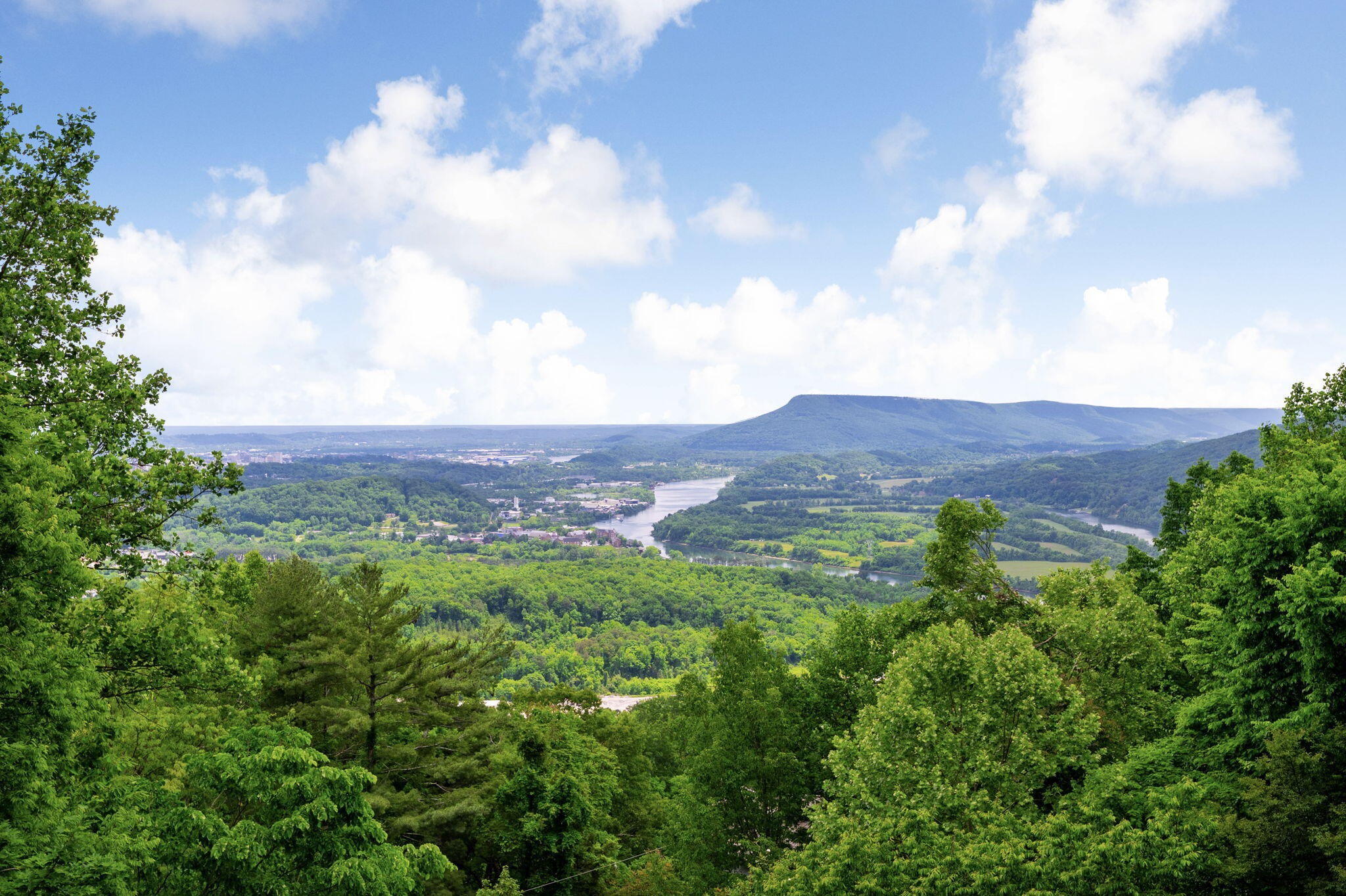 1185 Lower Brow Road Signal Mountain, TN 37377 - Photo 47 of 62 Gallery Image 47