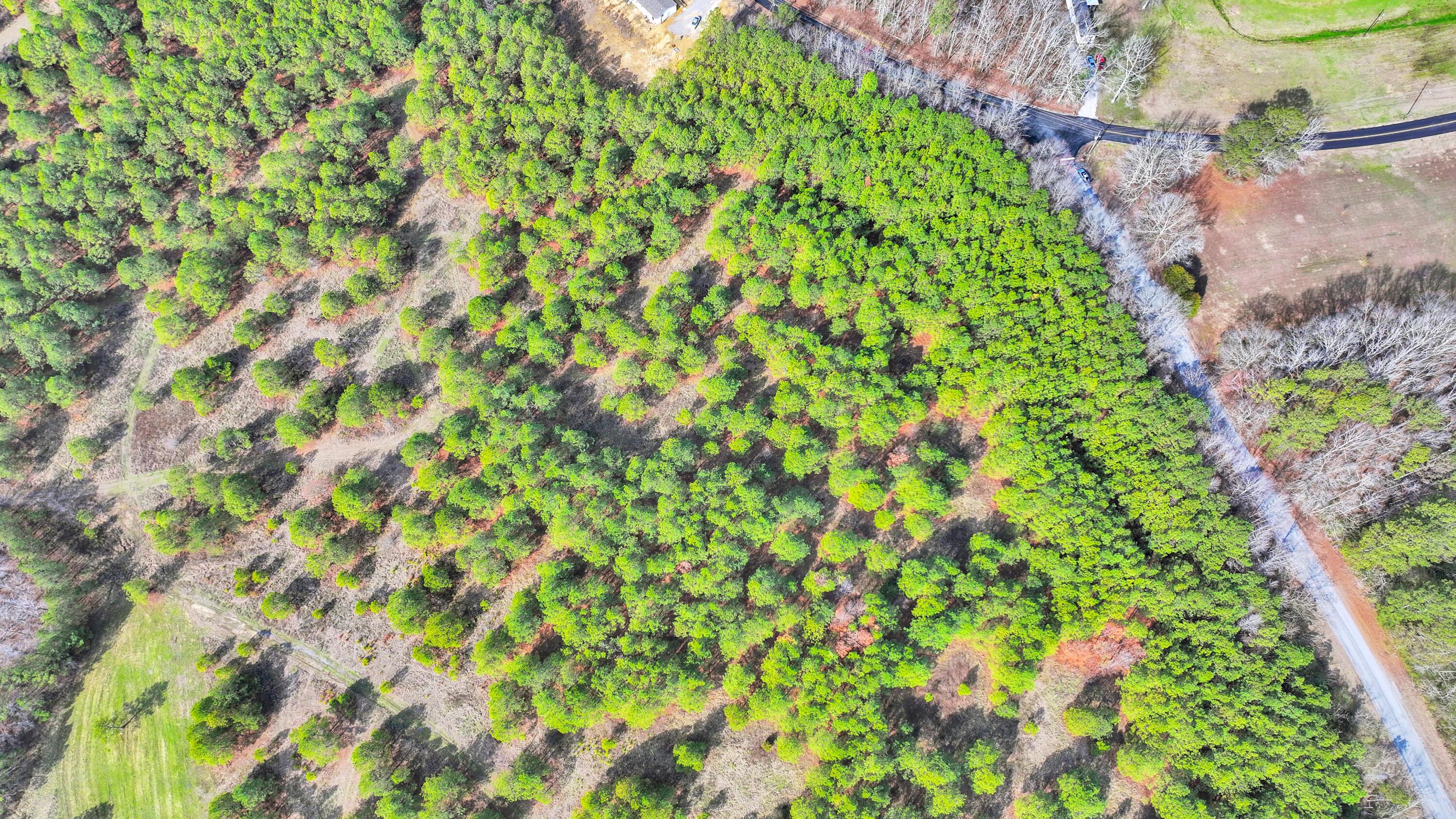 Lot 2 Duncan Road Nauvoo, AL 35578 - Photo 21 of 28 Gallery Image 21