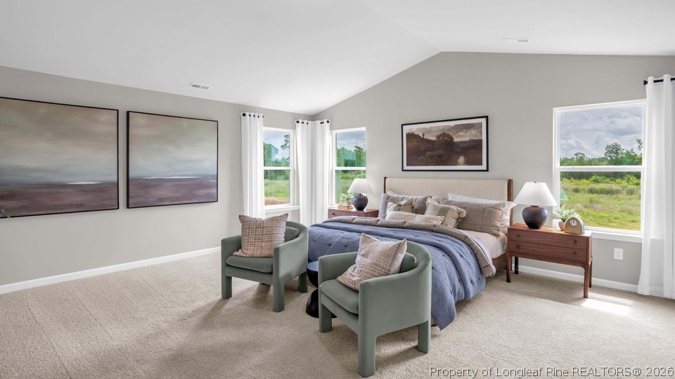 128 Rashford Way Raeford, NC 28376 - Photo 19 of 31 Bedroom