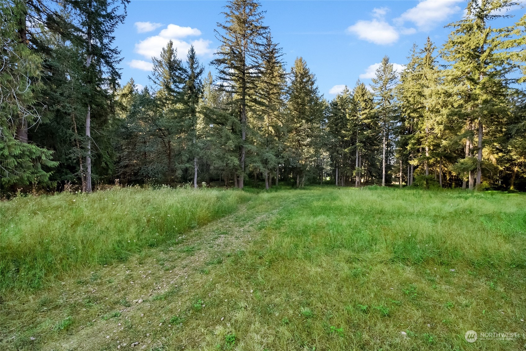 5520 133rd Avenue Southwest Rochester, WA 98579 - Photo 38 of 40 a view of green field with trees in the background