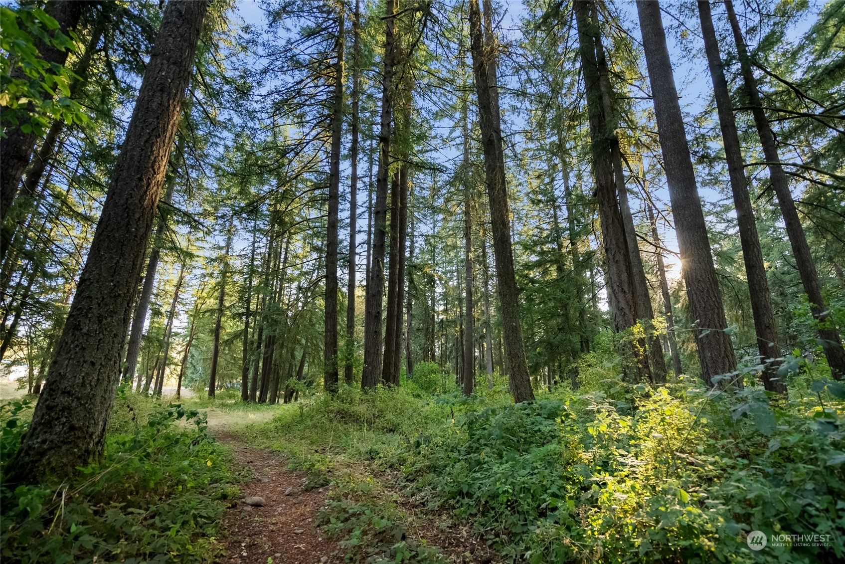5520 133rd Avenue Southwest Rochester, WA 98579 - Photo 39 of 40 a view of outdoor space and green space