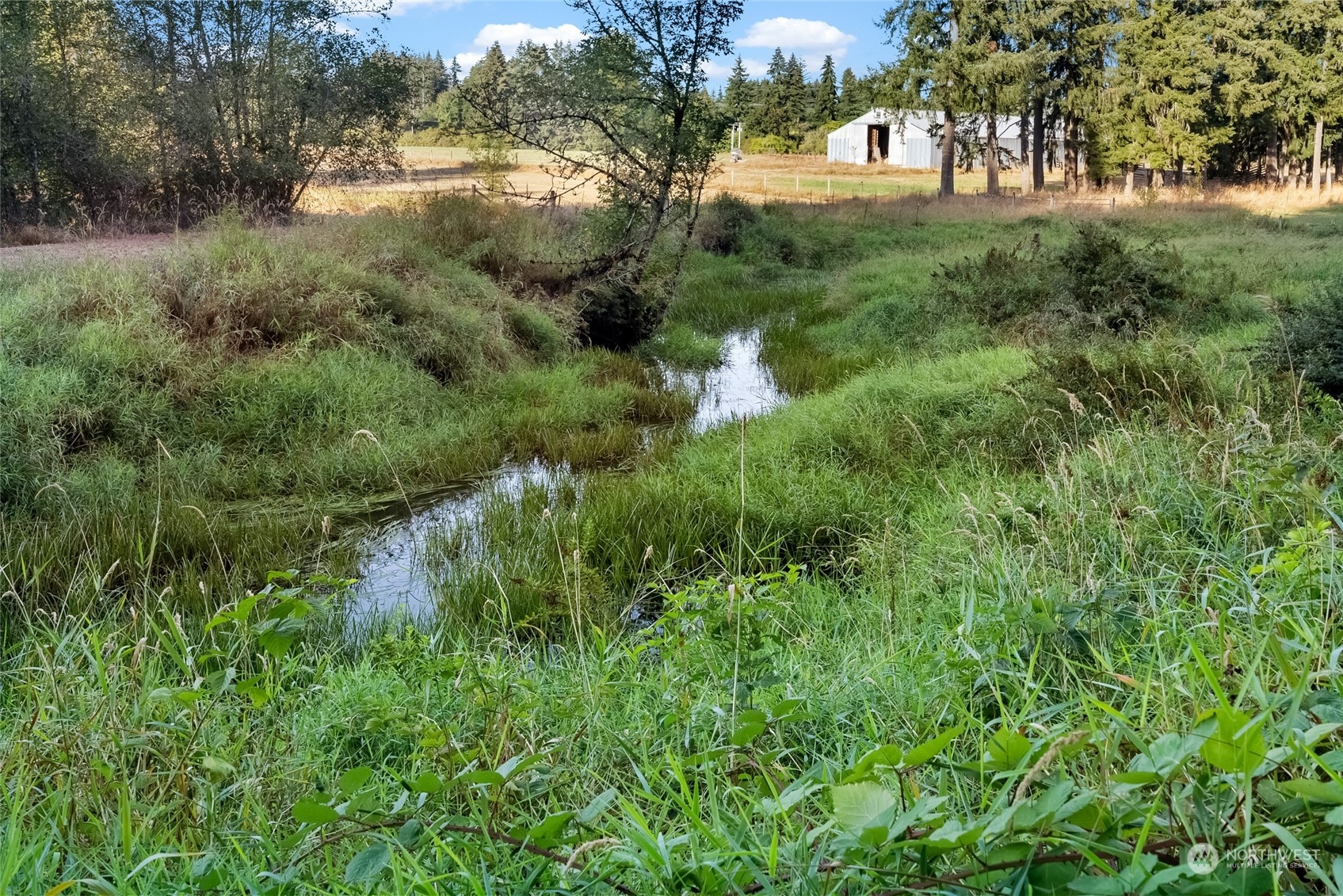 5520 133rd Avenue Southwest Rochester, WA 98579 - Photo 40 of 40 a view of a lush green forest