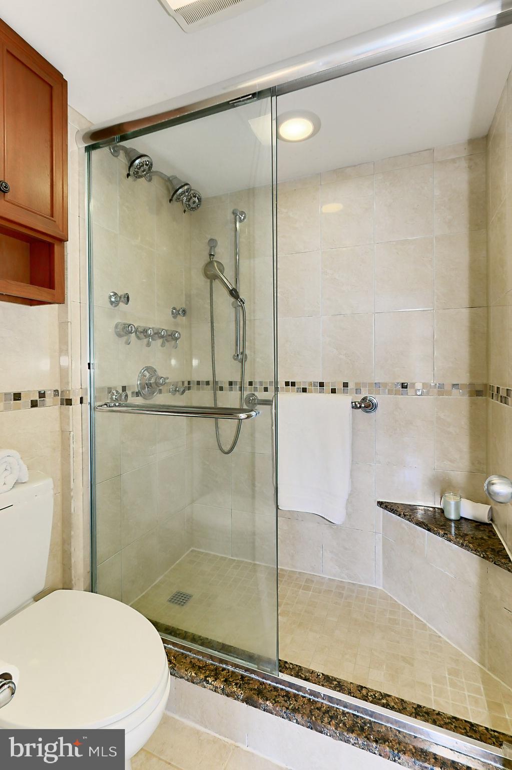 5501 Seminary Road, Unit 2312S Falls Church, VA 22041 - Photo 23 of 46 Primary Bath - Amazing Multi-Head Shower System