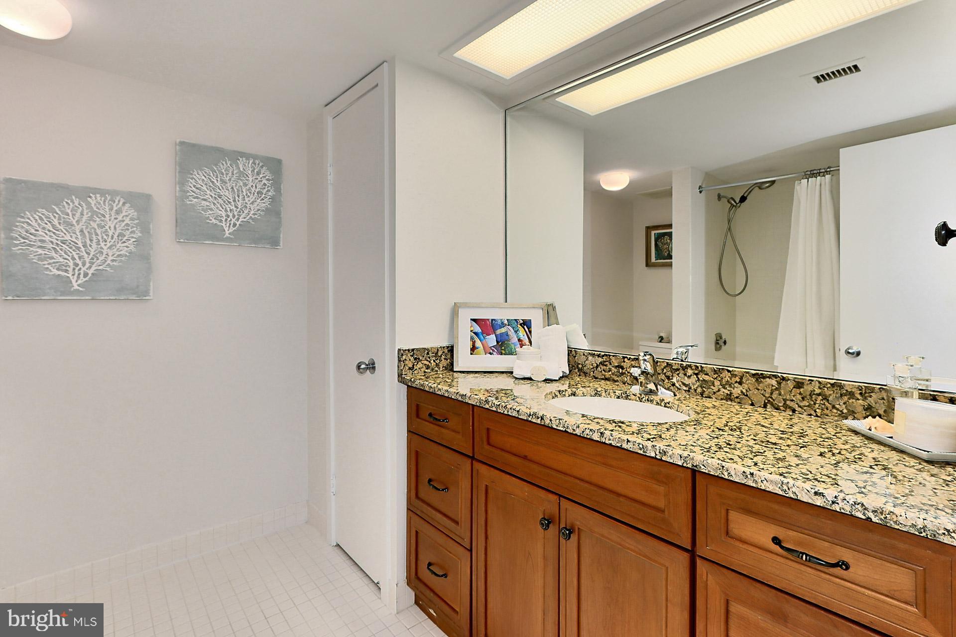 5501 Seminary Road, Unit 2312S Falls Church, VA 22041 - Photo 29 of 46 Second Bathroom with Large Vanity and Linen Closet
