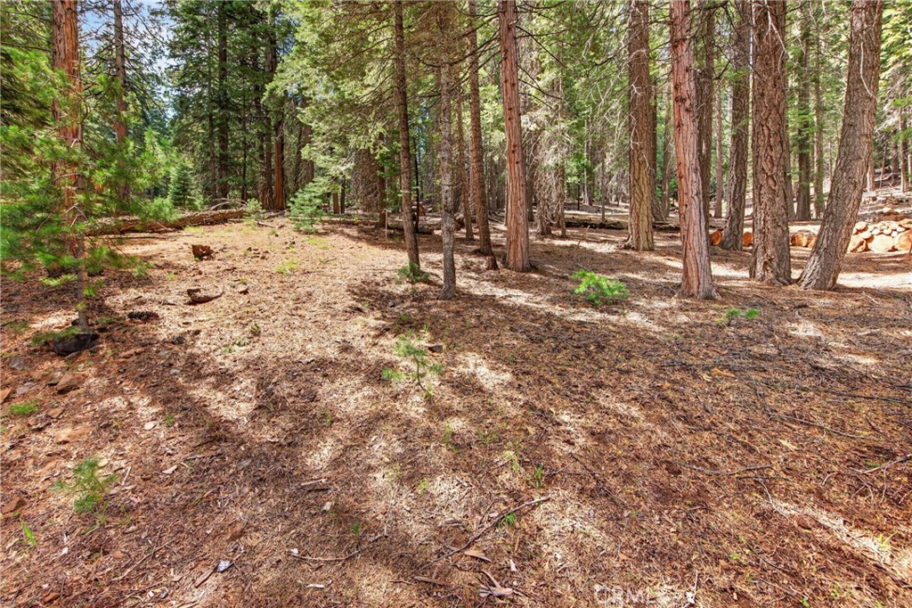 627 Cedar Canyon Road Lake Almanor, CA 96137 - Photo 28 of 34 a view of outdoor space with trees