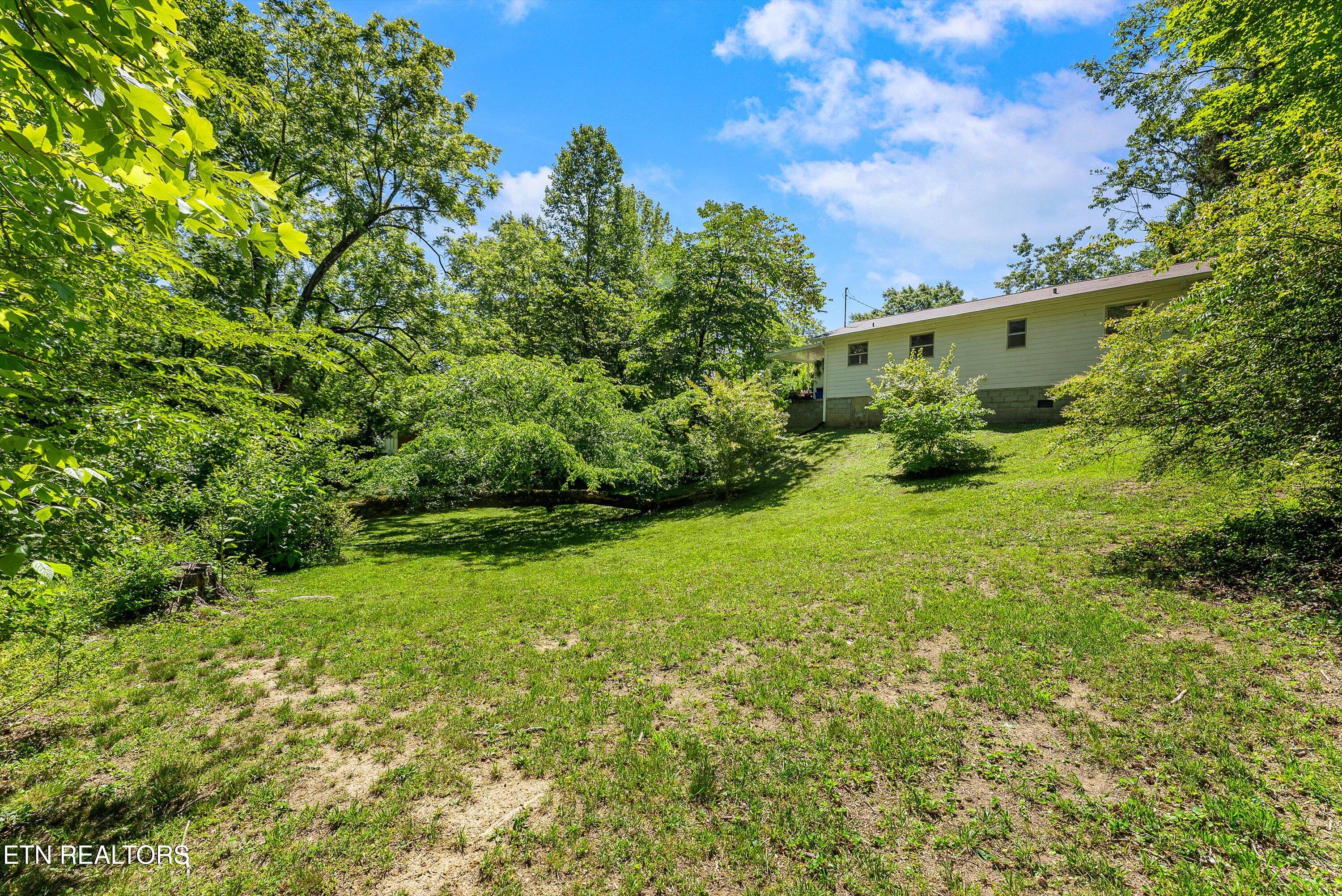 103 Loyola Lane Oak Ridge, TN 37830 - Photo 31 of 36 32-Backyard A2