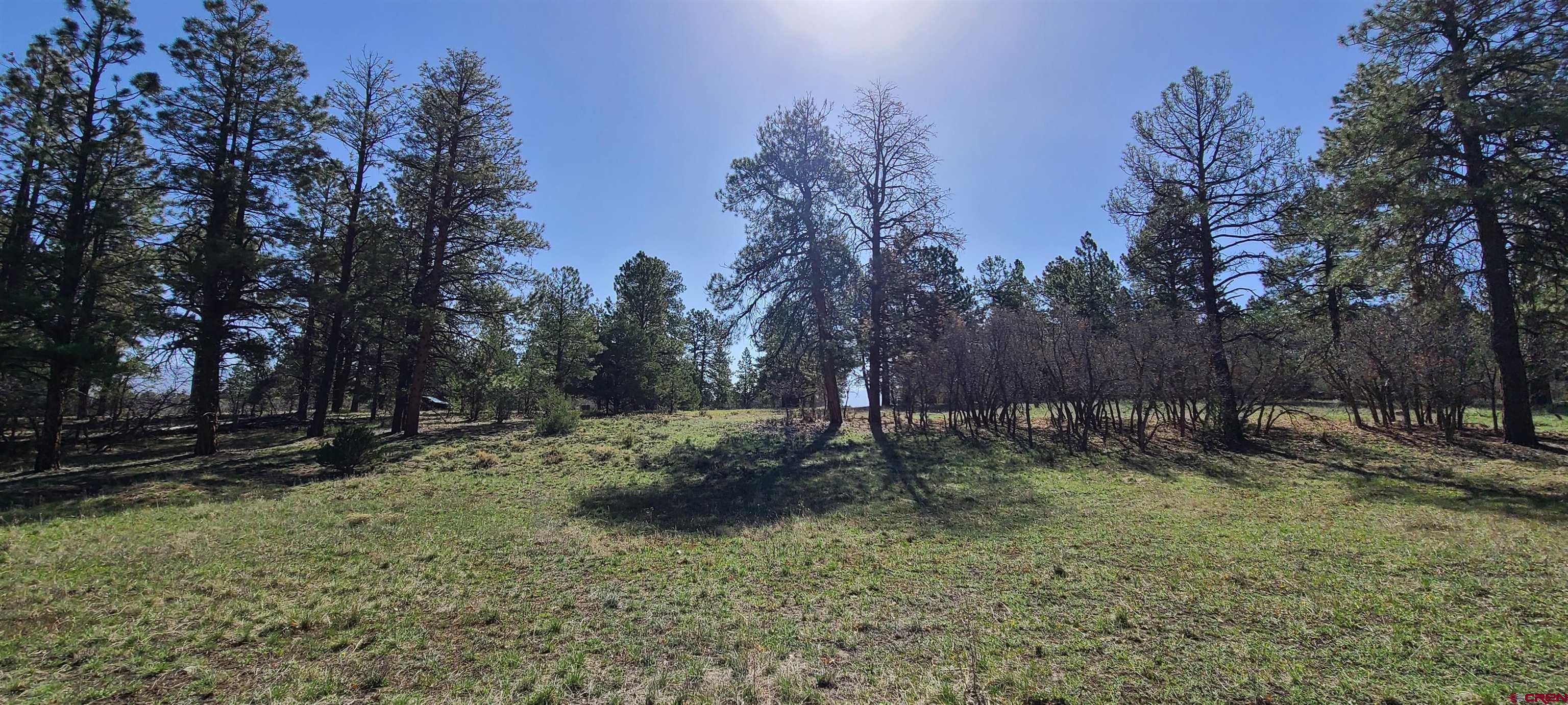 225 South Badger Trail Ridgway, CO 81432 - Photo 1 of 8