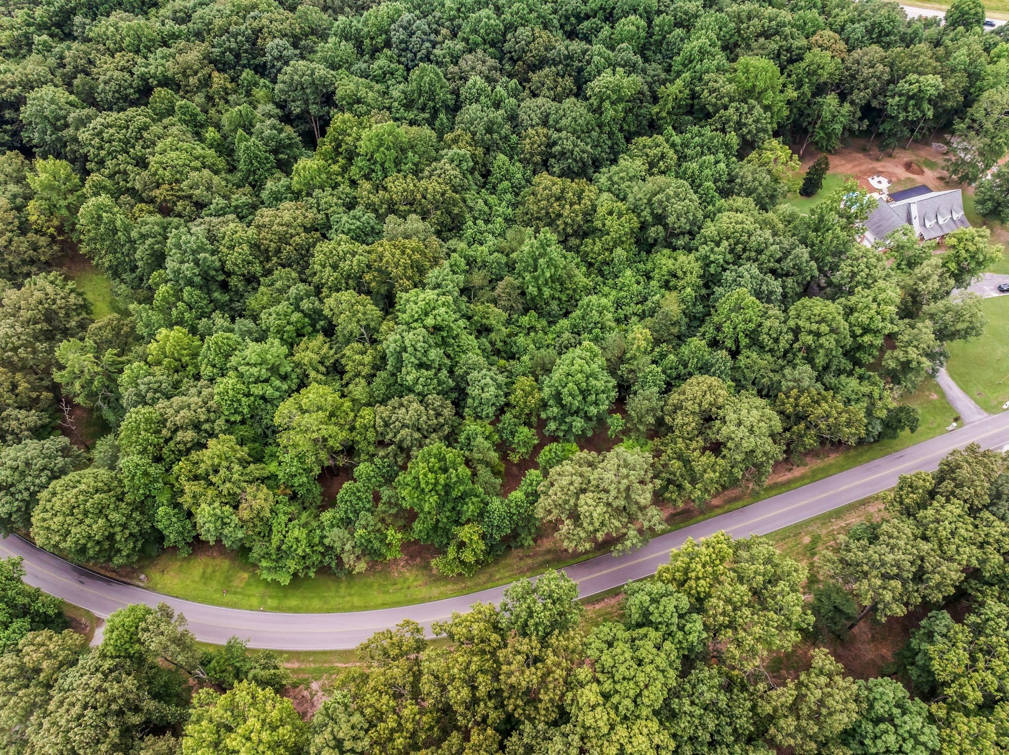 0 Iron Hill Road Burns, TN 37029 - Photo 13 of 18 a view of a garden with a tree
