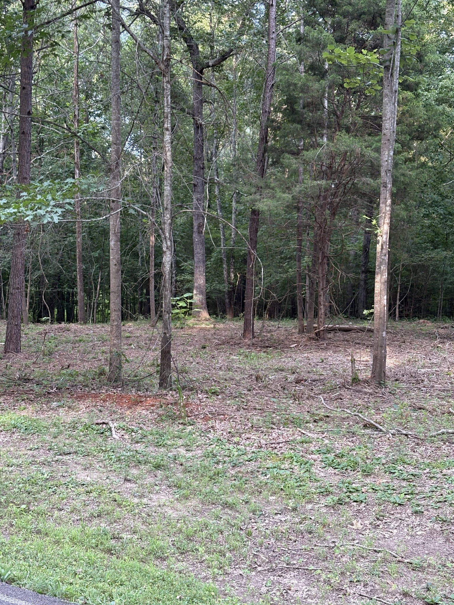 0 Iron Hill Road Burns, TN 37029 - Photo 4 of 18 a backyard of a house with lots of green space